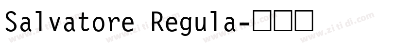 Salvatore Regula字体转换